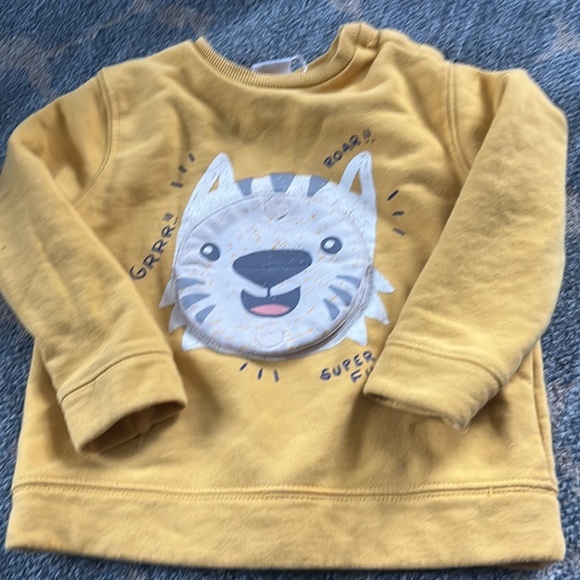 Zara Tiger 🐯 Sweater - Picture 2 of 4